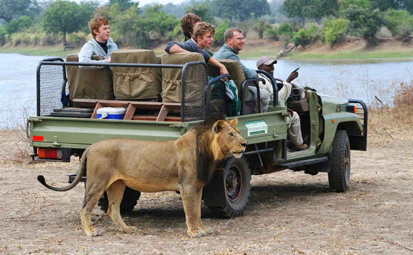 The safari pack list: top tips for a comfortable stay
