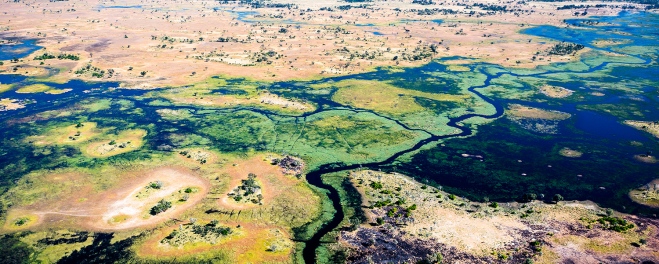 Robert Marks Safaris_Mokoro Canoe Trips_Okavango Delta