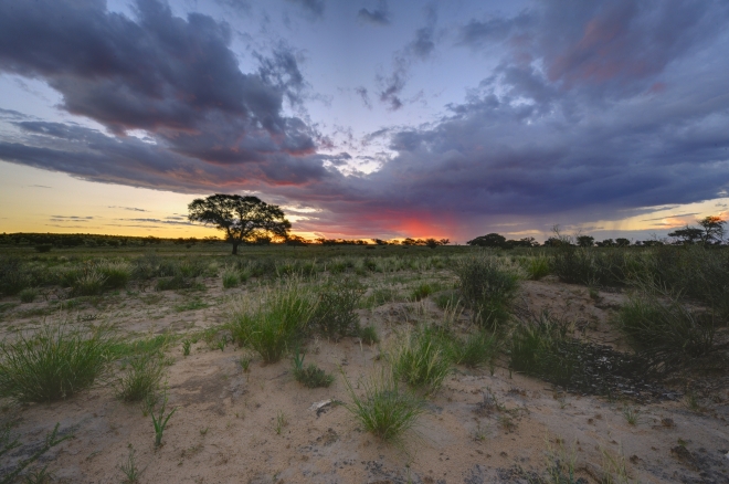 Robert Marks Safari_Kalahari Sunset 