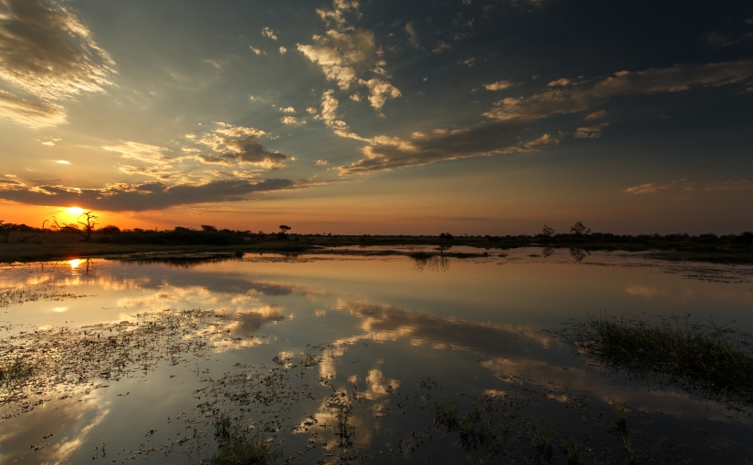 Where to stay in the Okavango Delta